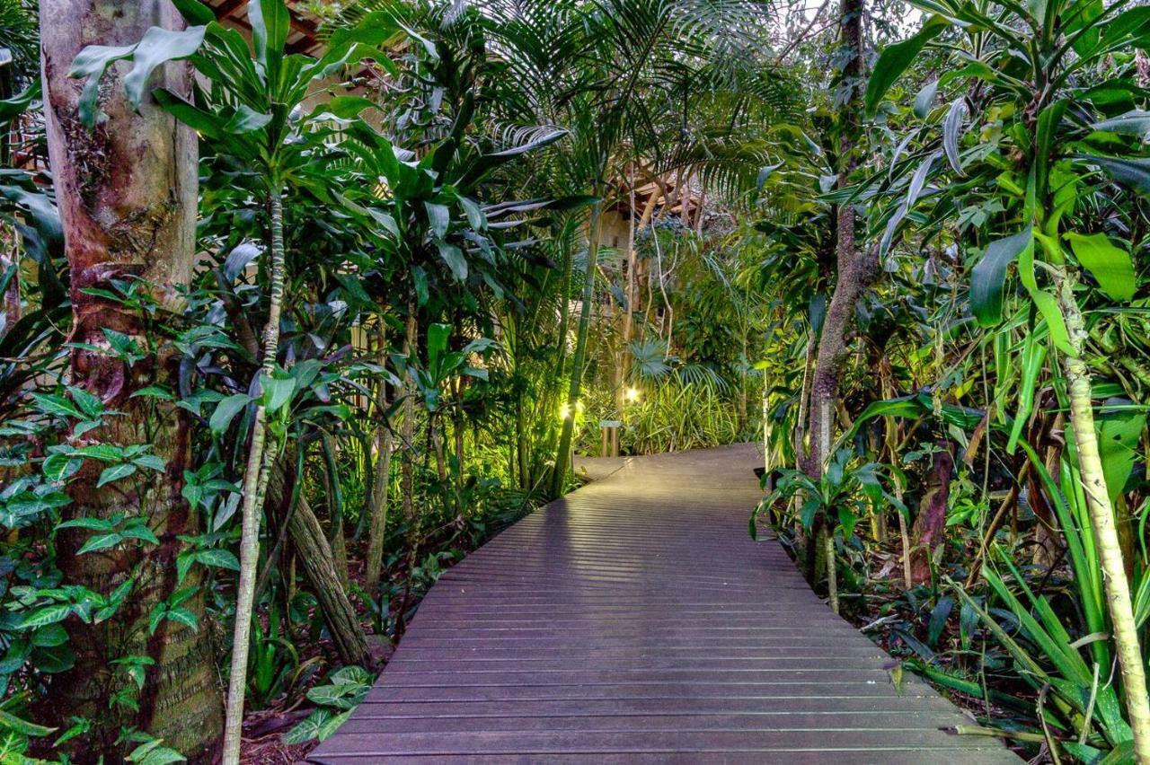 Saint Lucia Estuary Forest Lodge מראה חיצוני תמונה