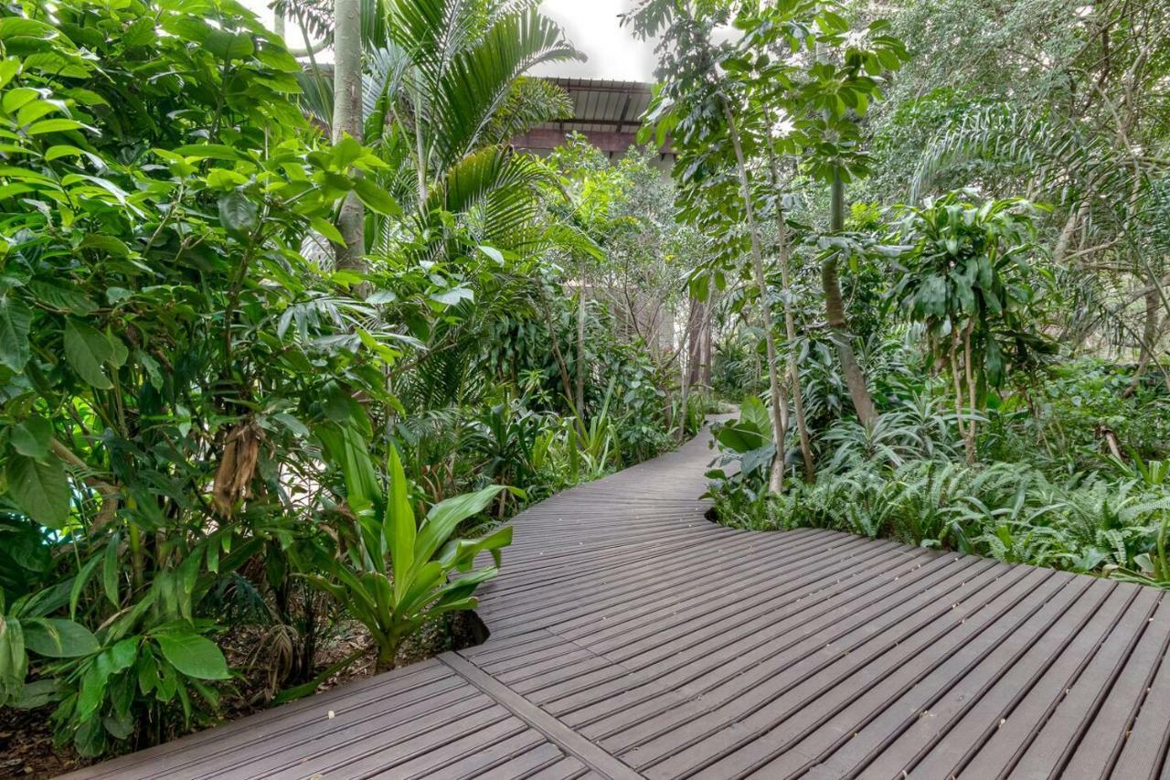 Saint Lucia Estuary Forest Lodge מראה חיצוני תמונה